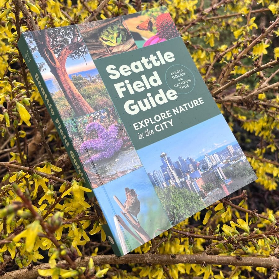 "Seattle Field Guide: Explore Nature in the City," a new book by Kathryn True and Maria Dolan