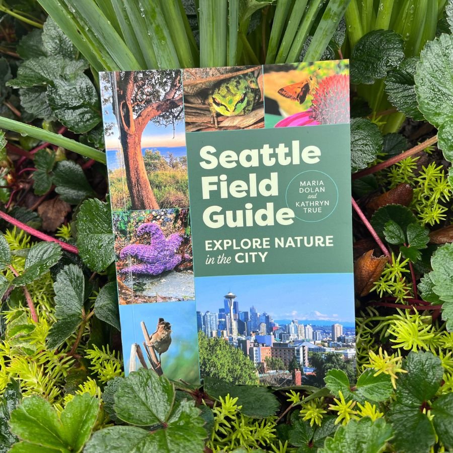 "Seattle Field Guide: Explore Nature in the City," a new book by Kathryn True and Maria Dolan