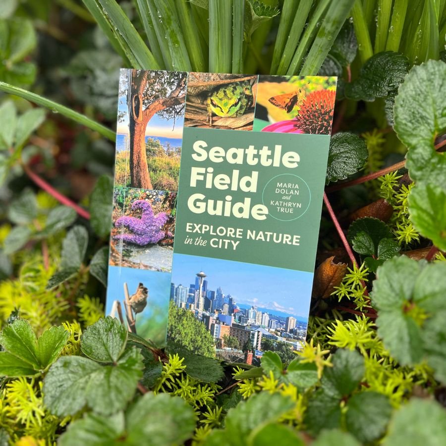 "Seattle Field Guide: Explore Nature in the City," a new book by Kathryn True and Maria Dolan